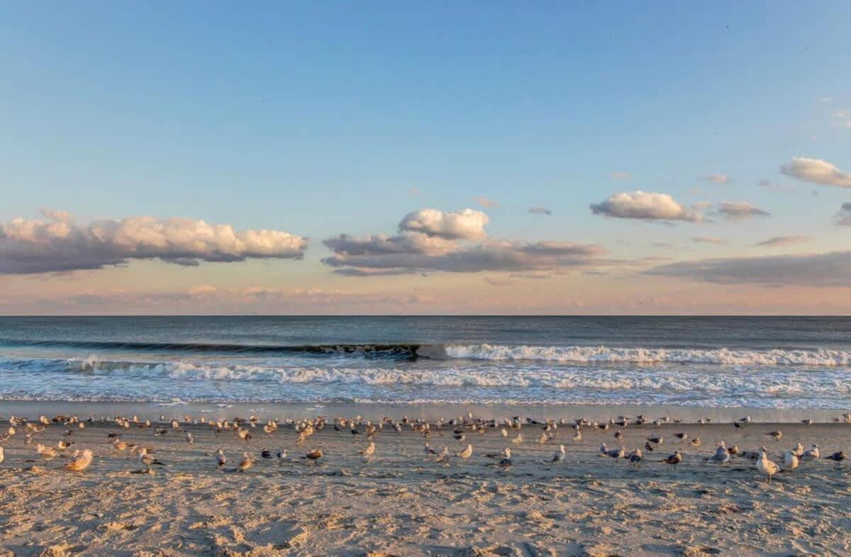 *All New & Awesome View*King Bed*Pools*Hot Tubs*Lazy River*M149 Myrtle Beach Eksteriør bilde